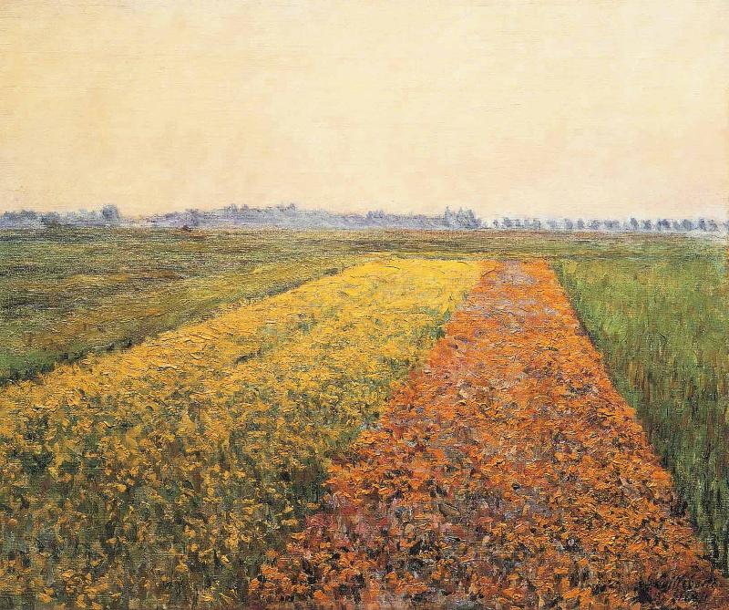 Gustave Caillebotte The Yellow Fields at Gennevilliers Germany oil painting art